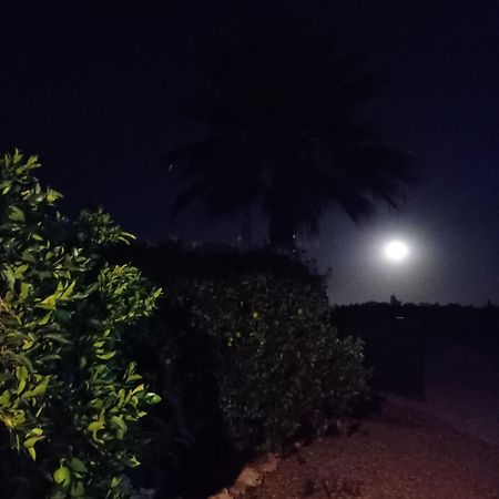 La Buganvilla, Descanso Entre Olivares Орначуелос Екстериор снимка