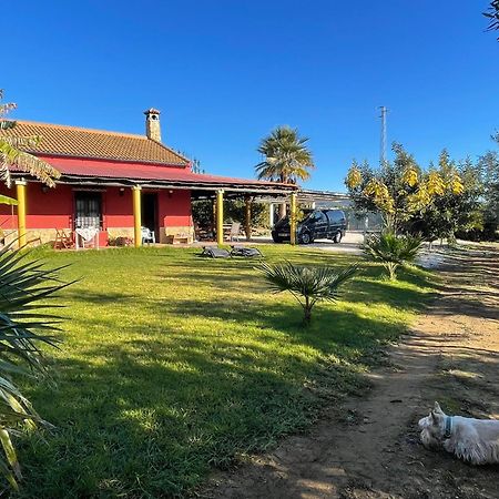 La Buganvilla, Descanso Entre Olivares Орначуелос Екстериор снимка
