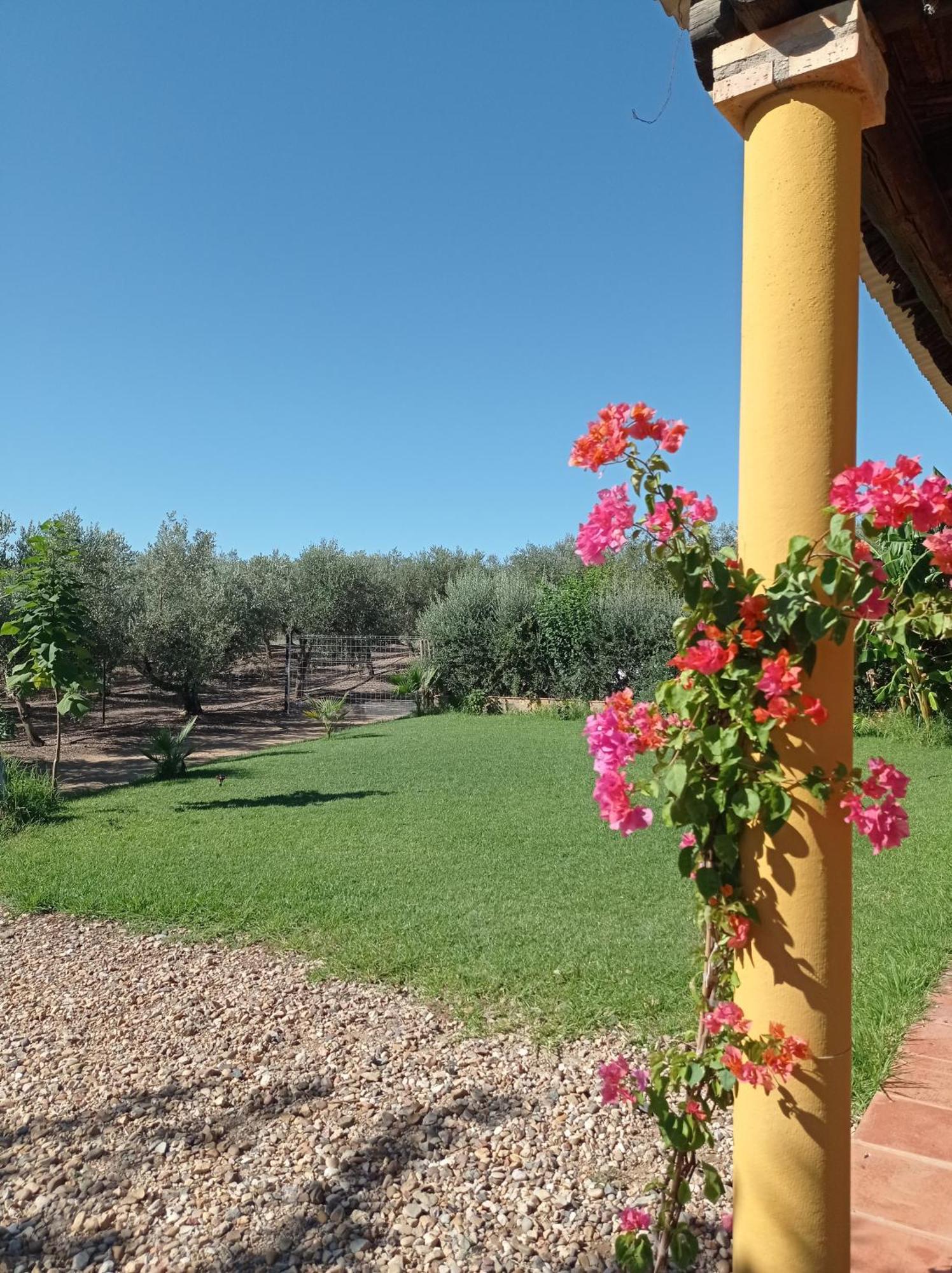 La Buganvilla, Descanso Entre Olivares Орначуелос Екстериор снимка