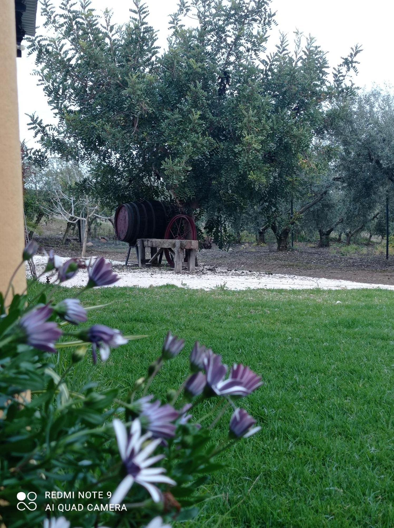 La Buganvilla, Descanso Entre Olivares Орначуелос Екстериор снимка